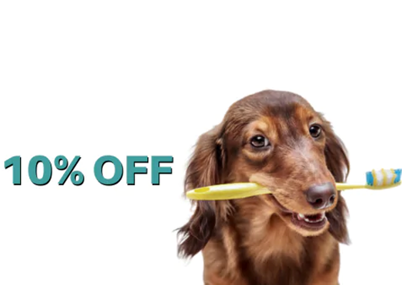 Carousel Slide 7: Colorado Springs dental cleanings