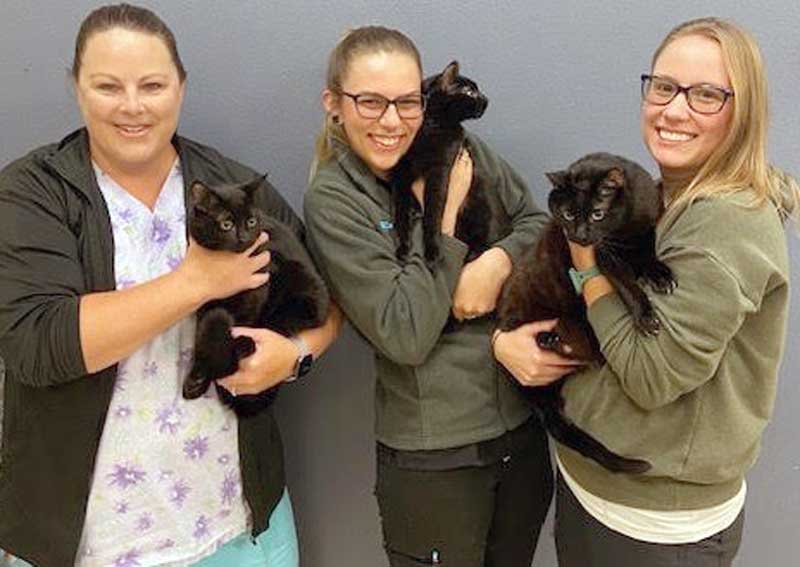 Carousel Slide 5: Meet our amazing team!